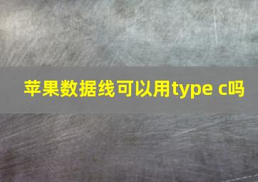 苹果数据线可以用type c吗